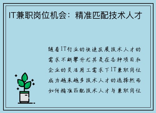 IT兼职岗位机会：精准匹配技术人才