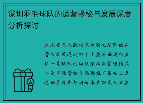 深圳羽毛球队的运营揭秘与发展深度分析探讨