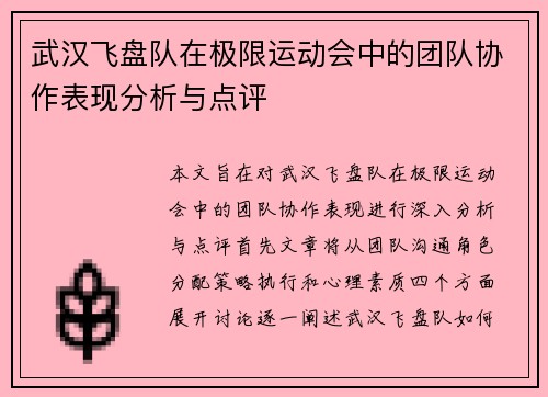 武汉飞盘队在极限运动会中的团队协作表现分析与点评
